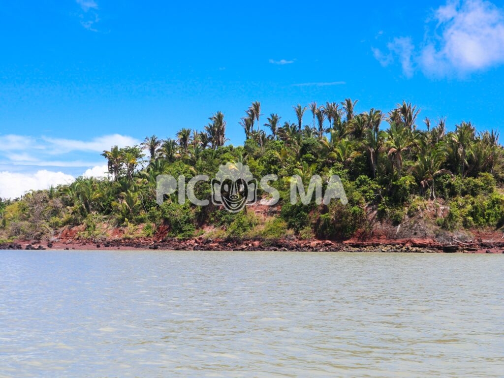 ilha do medo  Matraca Cultural