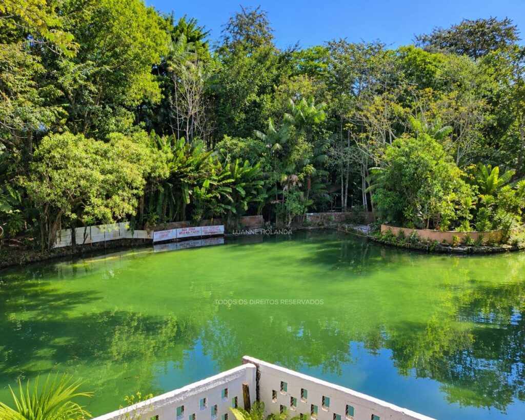 Vale do Pindaré, Maranhão - Luanne Holanda