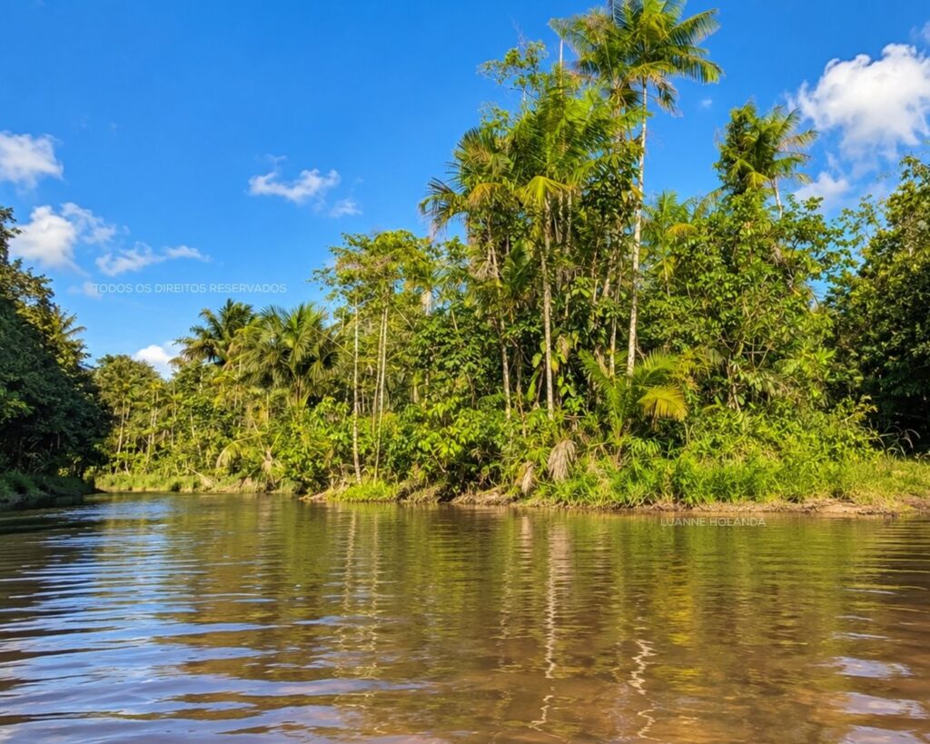 Lagoa em São Luís — foto de Luanne Holanda