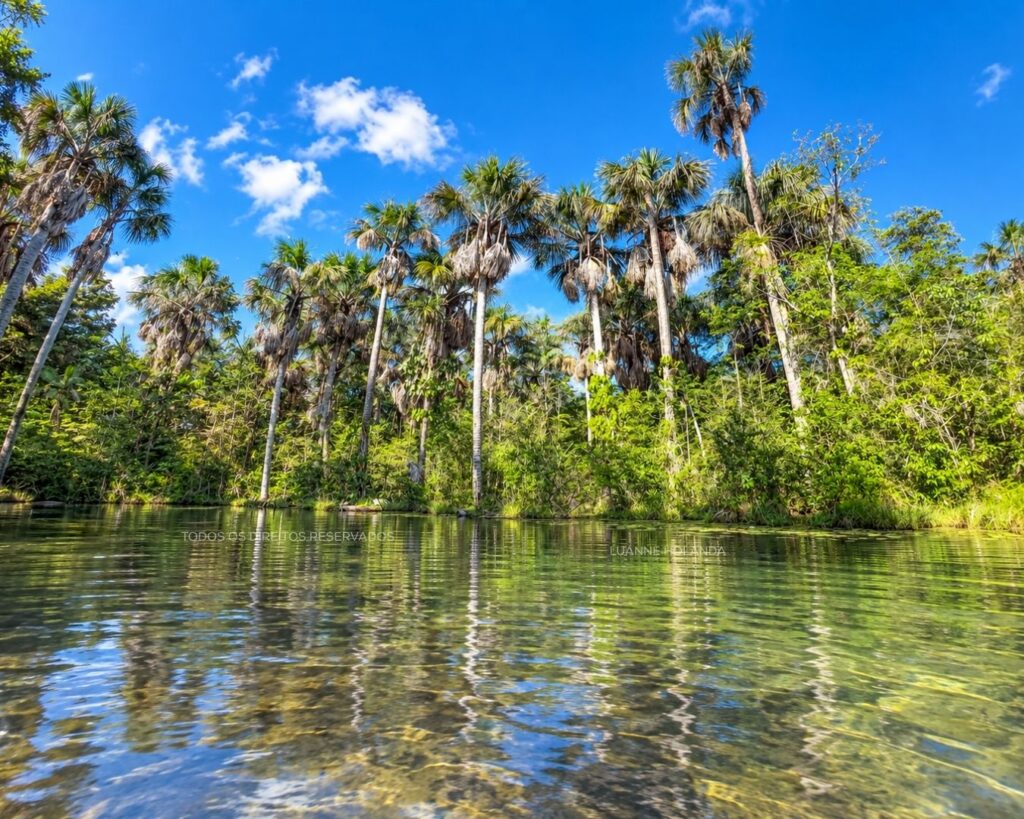 Lagoa em São Luís — foto de Luanne Holanda
