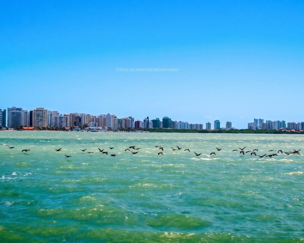 Passeio de barco em São Luís — foto de Luanne Holanda