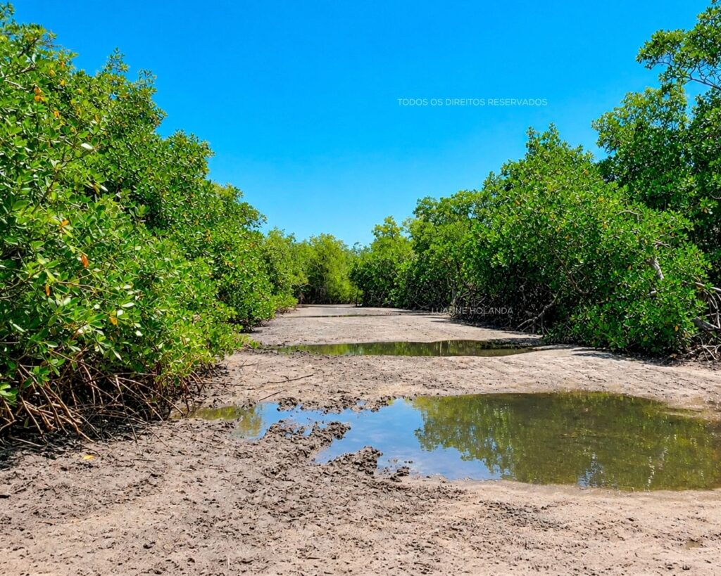 Passeios na Raposa, Maranhão