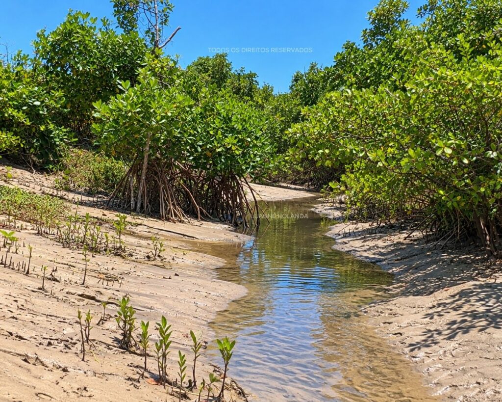 Passeios na Raposa, Maranhão