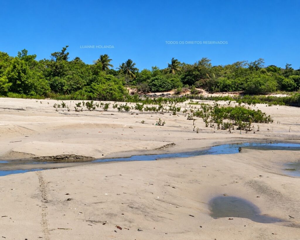 Passeios na Raposa, Maranhão