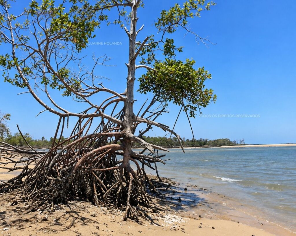 Passeios na Raposa, Maranhão