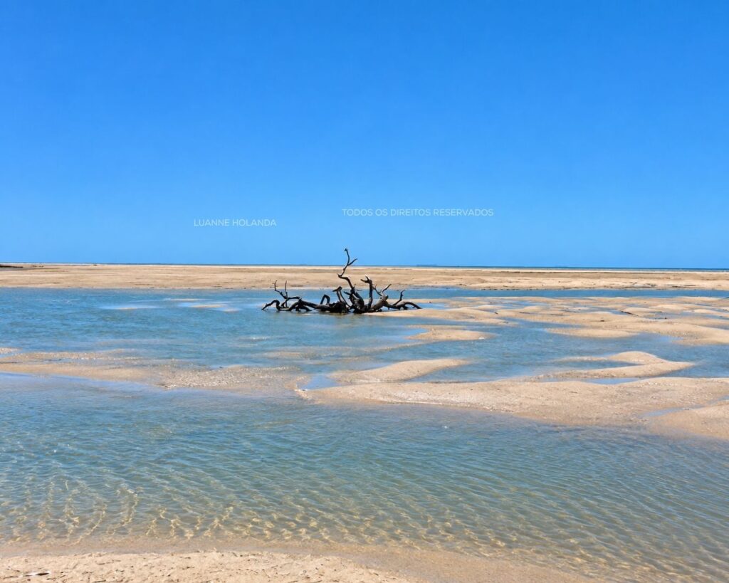 Passeios na Raposa, Maranhão