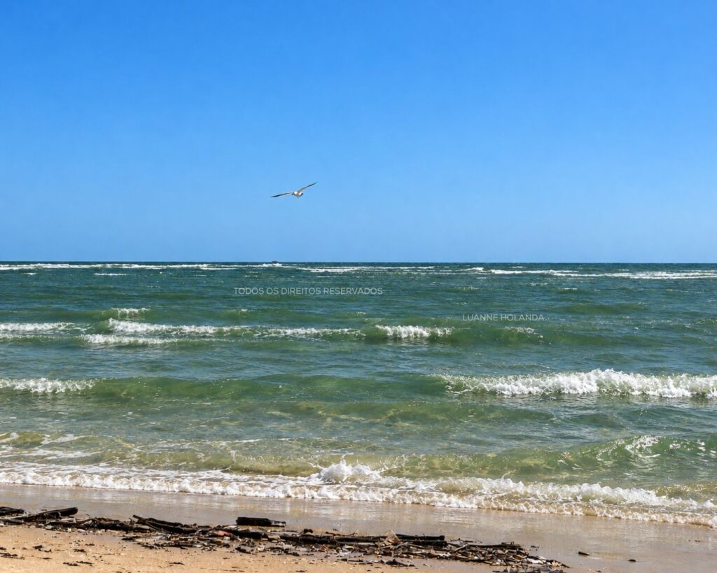 Passeios na Raposa, Maranhão