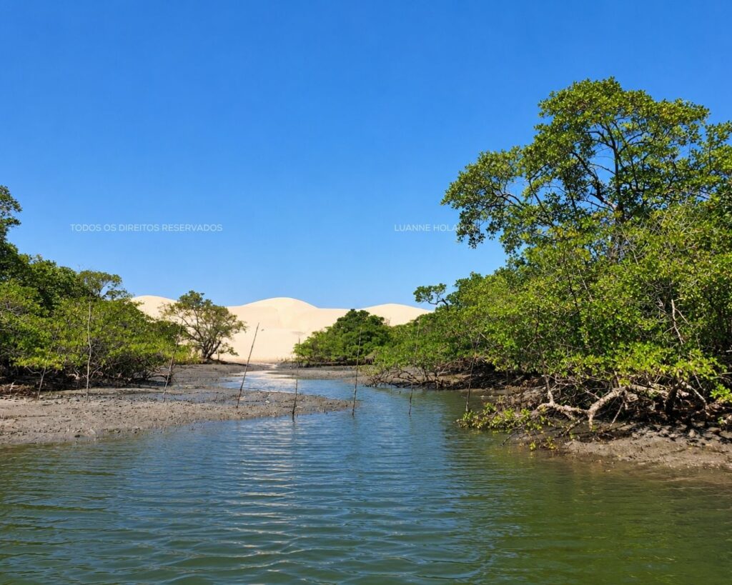 Passeios na Raposa, Maranhão