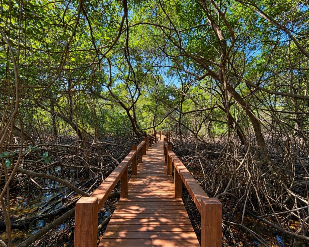 Passeios na Raposa, Maranhão