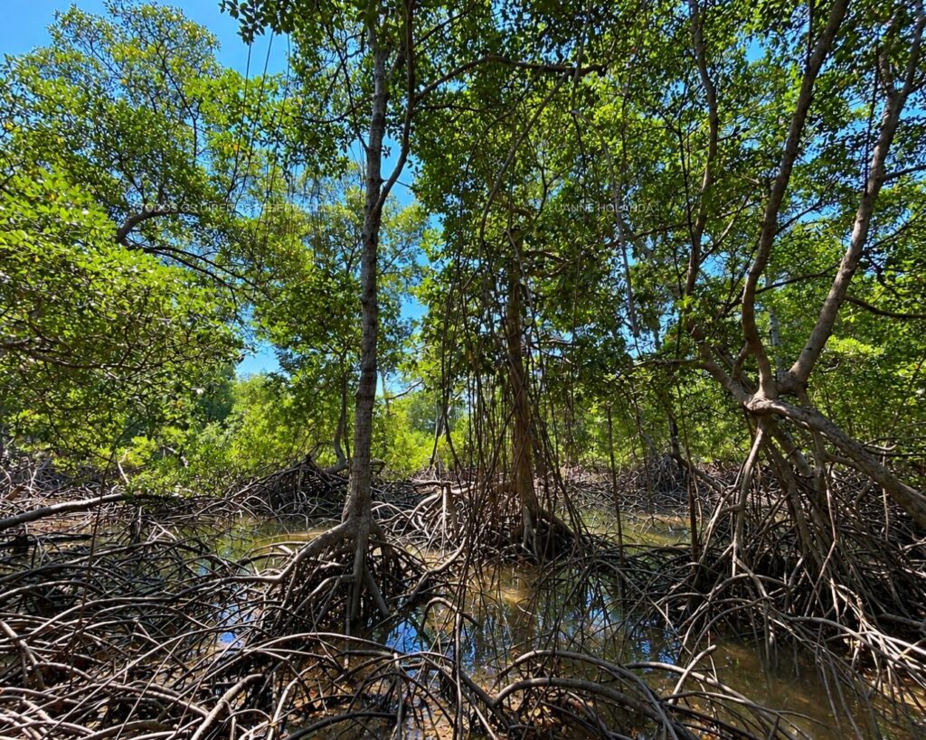 Passeios na Raposa, Maranhão