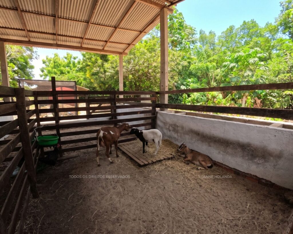 Passeios na Raposa, Maranhão