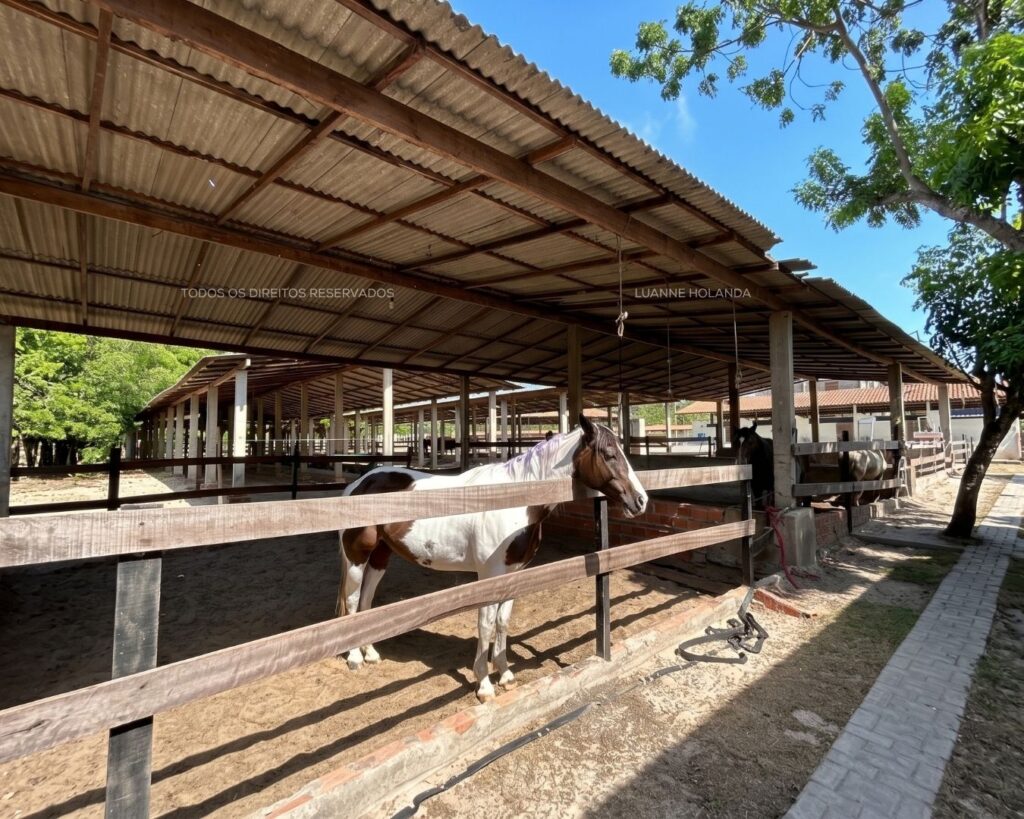 Passeios na Raposa, Maranhão