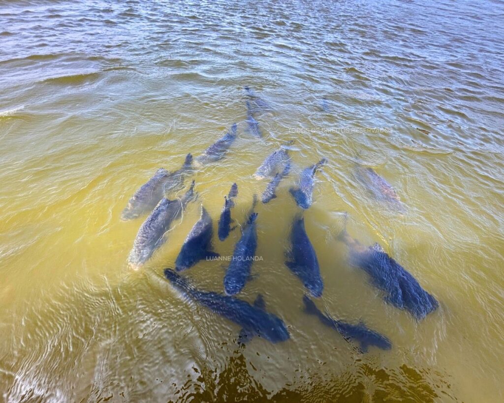 Passeios na Raposa, Maranhão