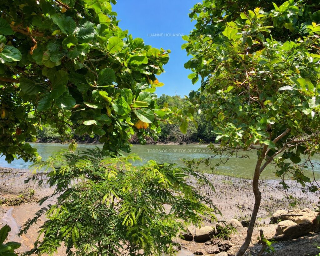 Passeios na Raposa, Maranhão