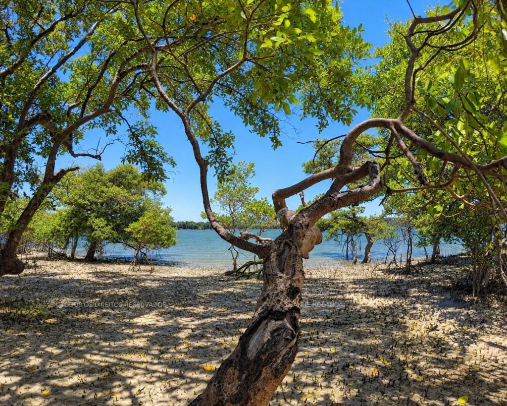 Passeios na Raposa, Maranhão