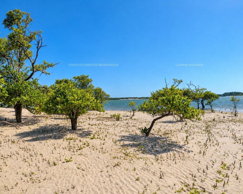 Passeios na Raposa, Maranhão