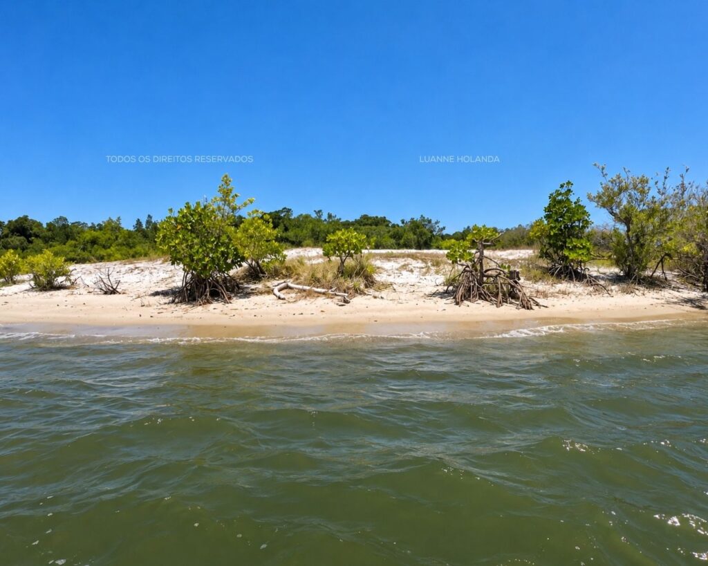 Passeios na Raposa, Maranhão
