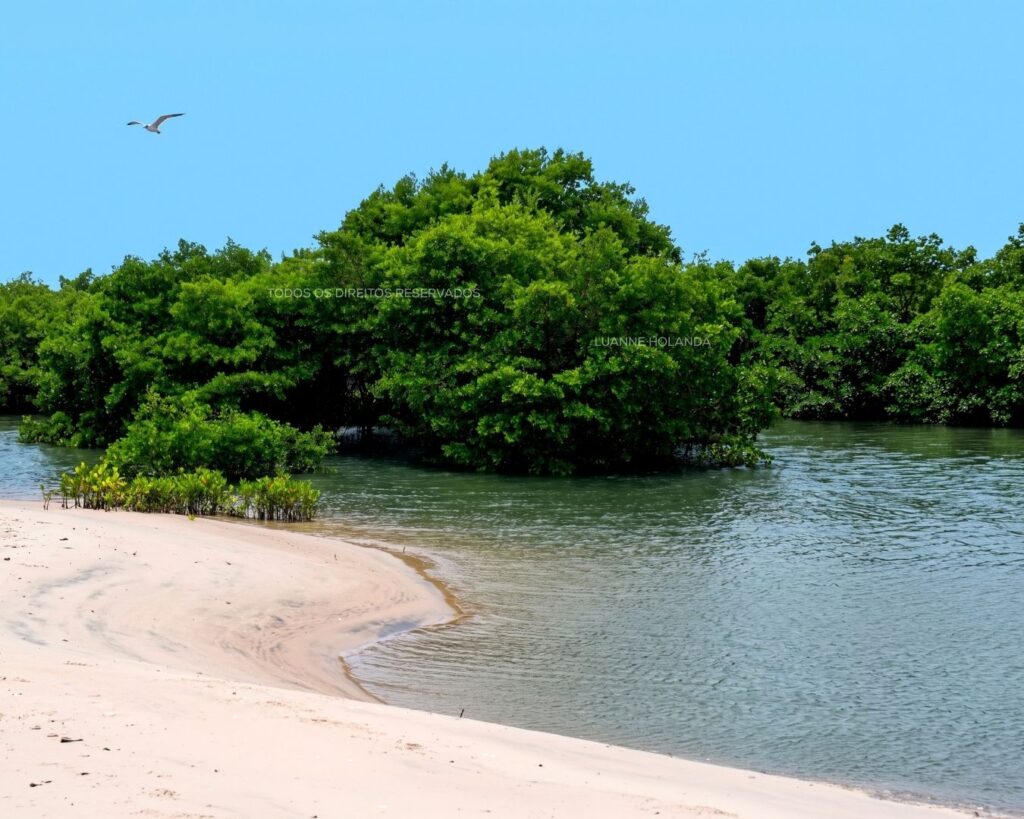 Praia deserta no passeio de barco em Paço do Lumiar — foto de Luanne Holanda