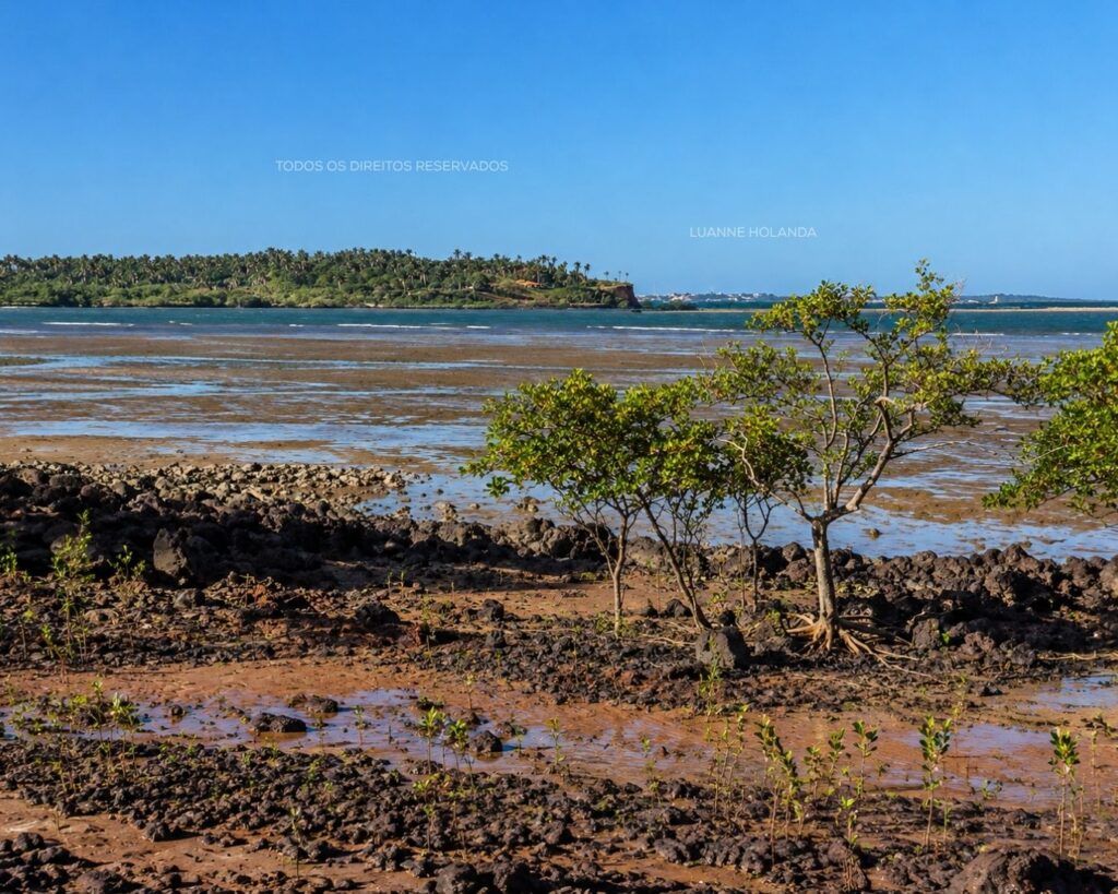 Praia em São José de Ribamar — foto de Luanne Holanda