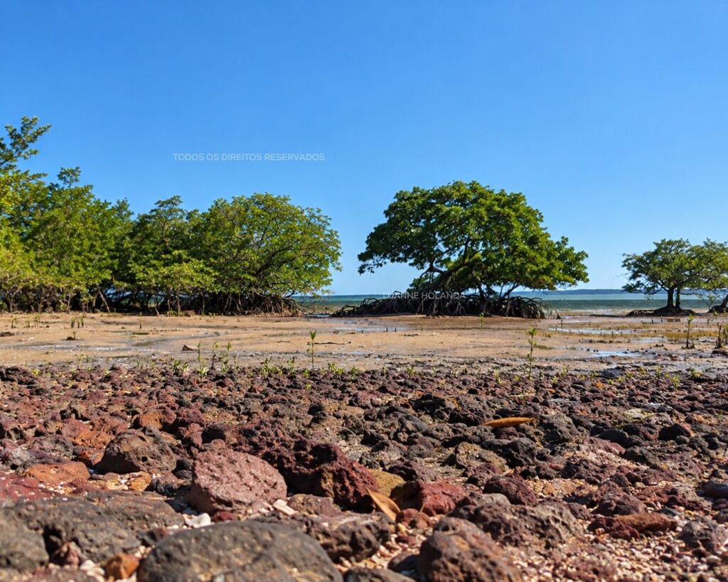 Praia em São José de Ribamar — foto de Luanne Holanda
