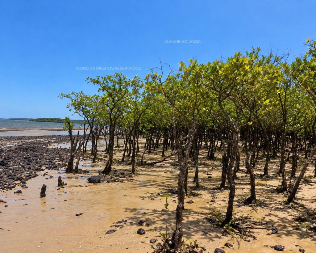 Praia em São José de Ribamar — foto de Luanne Holanda