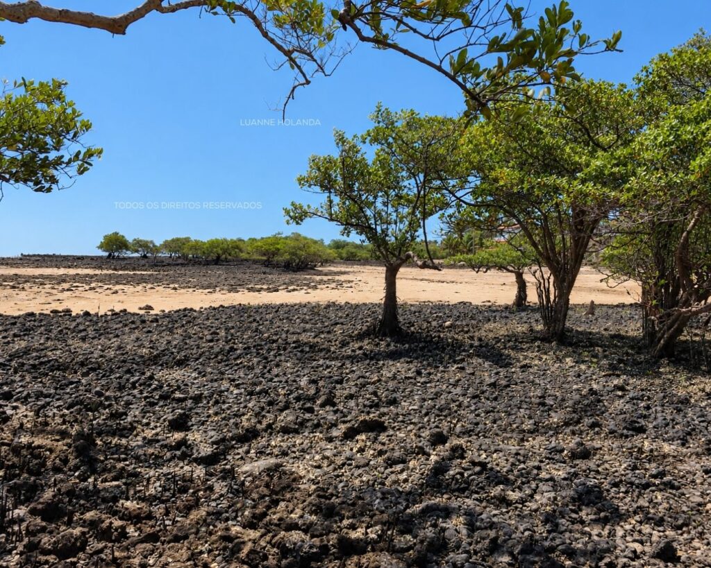 Praia em São José de Ribamar — foto de Luanne Holanda