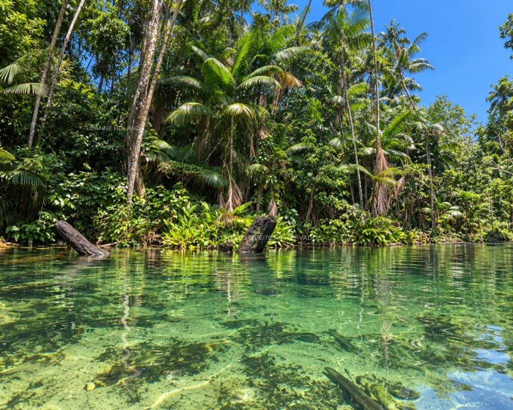 Região Munim, Maranhão