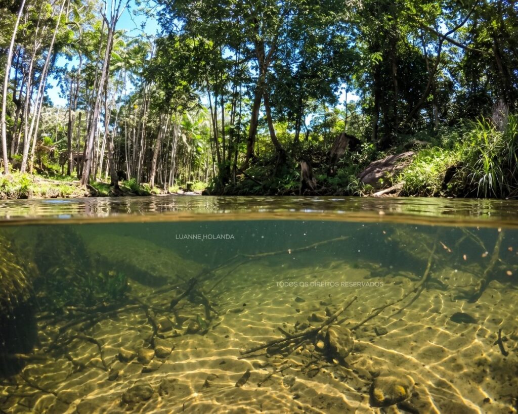 Região Munim, Maranhão